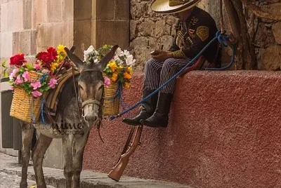 CHARRO