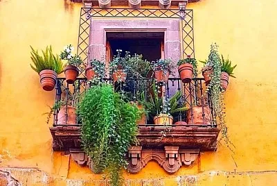 SAN MIGUEL