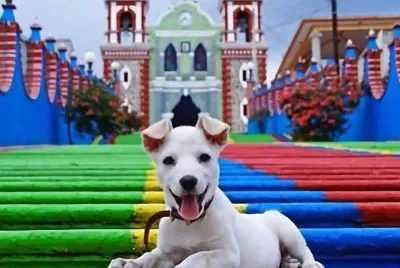פאזל של COLORES