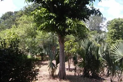 naturaleza