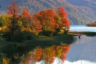 naturaleza
