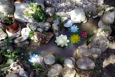 giardino