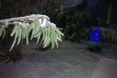 neve