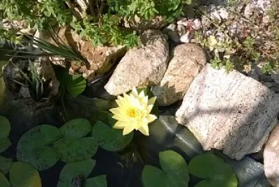 giardino