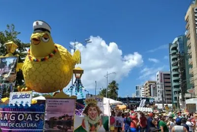 Pinto da Madrugada em Maceio - AL