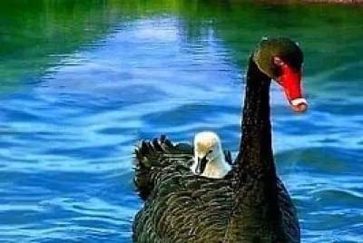 Naturaleza