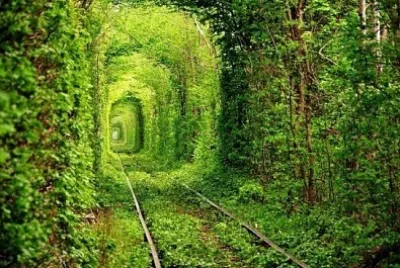 TÃºnel del amor