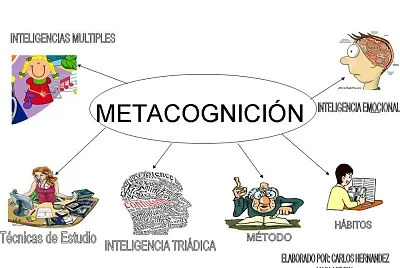 AutorregulaciÃ³n