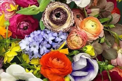 flores