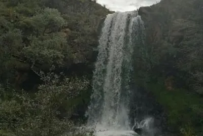 aaaaaaa