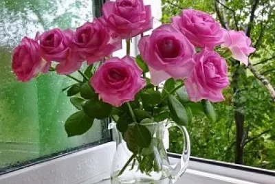 flores
