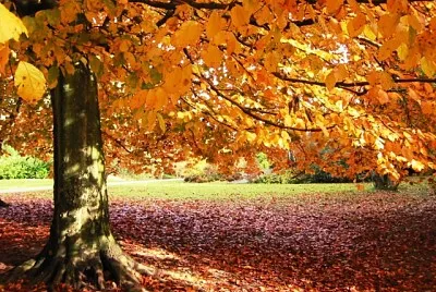 naturaleza