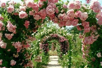 archway