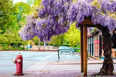 NATURALEZA