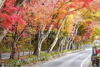 NATURALEZA