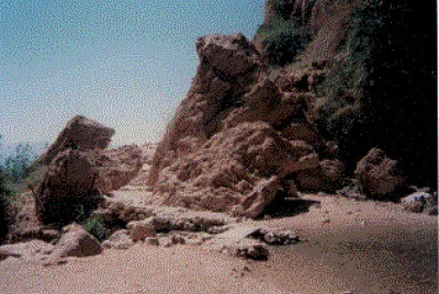 Path of Nahal David