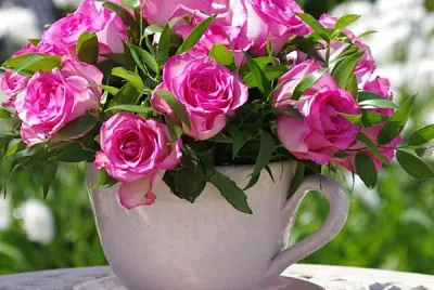 flores