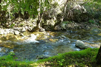 Rio Ambroz