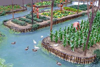 xochimilcas