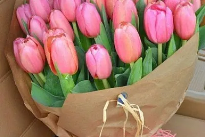 flores