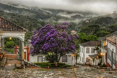 flores