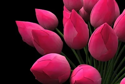 flores