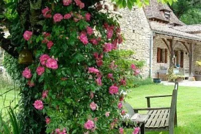 flores