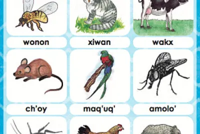 animales en kachiquel