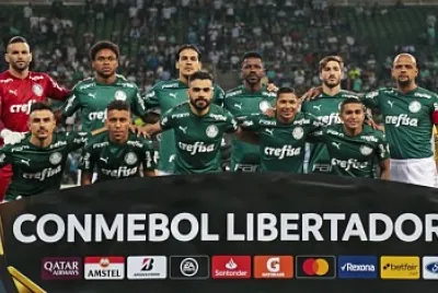 palmeiras 1