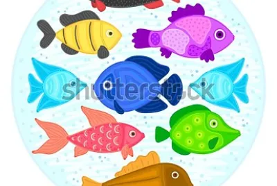 fish