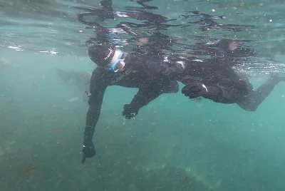 Amor en Puerto Madryn