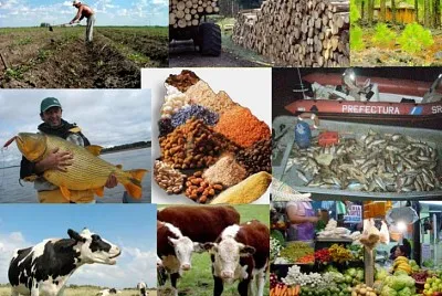 ACTIVIDADES ECONOMICAS