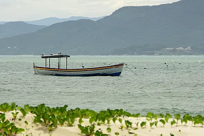 barco IV