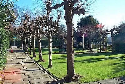 The Bishop 's Walk, Ockbrook jigsaw puzzle
