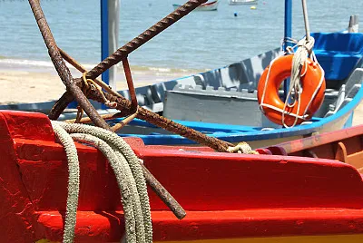 pesca jigsaw puzzle