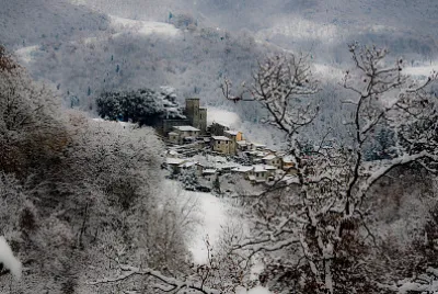 partina jigsaw puzzle