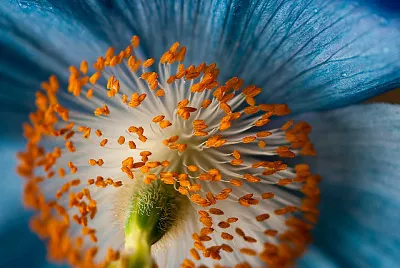 naturaleza