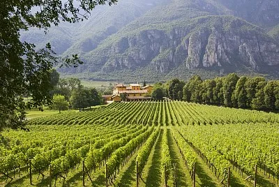 naturaleza