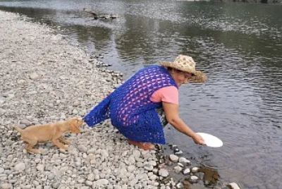 perro rescatista