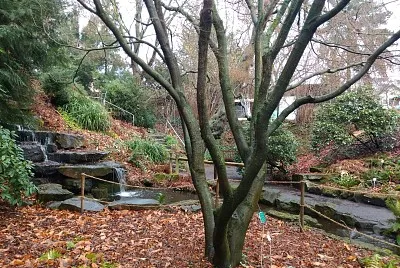 Jardin botanico Brunswich2