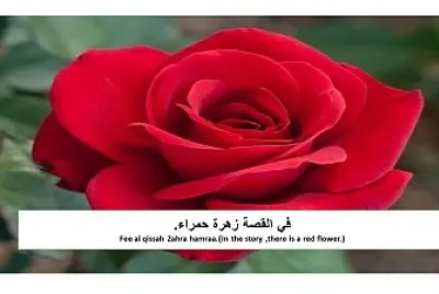 Ù‚ØµØªÙŠ Ø§Ù„Ù…ÙØ¶Ù„Ø©
