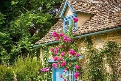 cores jigsaw puzzle