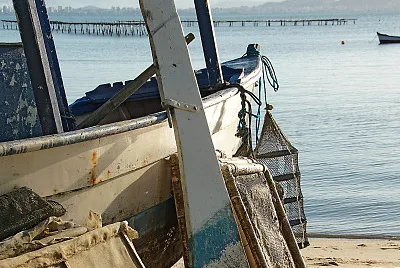 pesca II