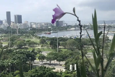 Rio de Janeiro-RJ