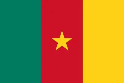Camerron Flag