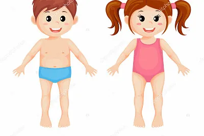 Cuerpo Humano jigsaw puzzle