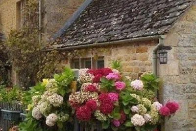 flores jigsaw puzzle