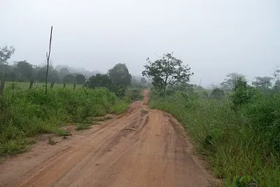 natureza e famÃ­lia