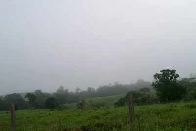 natureza e famÃ­lia