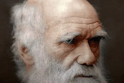 Darwin jigsaw puzzle